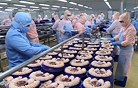Xuất khẩu thủy sản sang Hoa Kỳ: Cơ hội và thách thức trong bối cảnh mới