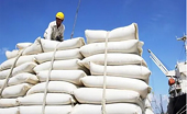 Bảo đảm nguyên tắc kép trong điều hành xuất khẩu gạo