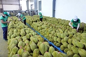 Xuất khẩu rau quả giảm trong 3 tháng liên tiếp