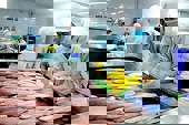 Xuất khẩu cá tra: Đón nhiều triển vọng tích cực
