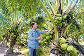 Khai thác lợi thế để xuất khẩu nông sản hữu cơ sang thị trường Trung Quốc
