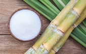 Bộ Công Thương gia hạn thời hạn rà soát nhà xuất khẩu mới trong vụ việc áp dụng biện pháp chống lẩn tránh biện pháp phòng vệ thương mại đối với một số sản phẩm đường mía