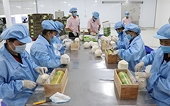 Tăng "sức đề kháng" cho hàng Việt tại thị trường EU