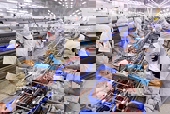 Thủy sản Việt chủ động thích ứng quy định asen tại EU