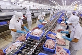 Thủy sản Việt chủ động thích ứng quy định asen tại EU