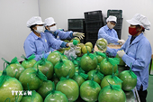 Chất lượng và kiểm dịch vẫn là yếu tố then chốt để tăng xuất khẩu trái cây