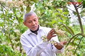 Đa dạng thị trường, giảm thiểu rủi ro xuất khẩu giữa bối cảnh Mỹ áp thuế đối ứng