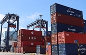 Thống kê các vụ điều tra chống lẩn tránh thuế CBPG đối với hàng hóa Việt Nam tính đến 31.12.2024