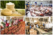 Nông lâm thủy sản Việt Nam: Tăng trưởng mạnh, vẫn lo bởi 3 kịch bản áp thuế