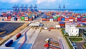 Tận dụng "khoảng lặng" thuế quan, doanh nghiệp Việt tăng tốc xuất khẩu
