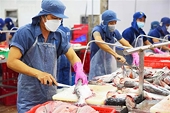 Thời điểm để các doanh nghiệp xuất khẩu thuỷ sản tái cấu trúc thị trường