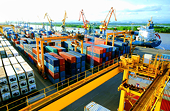 Cần nghiên cứu kỹ thị trường khi xuất khẩu sang EU