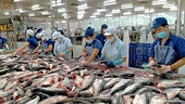 Vasep đề xuất 2 gói hỗ trợ cứu xuất khẩu thủy sản trước biến động thuế quan từ Mỹ