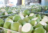 Nông sản Việt rộng đường chính ngạch vào Trung Quốc