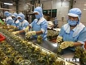 Tạo lợi thế cho hàng Việt thích ứng luật chơi toàn cầu