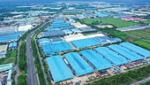 Chủ đầu tư khu công nghiệp ứng biến giữa “bão” thuế quan