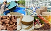 Nông sản Việt: Tuân thủ nghiêm ngặt tiêu chuẩn của EU để đi đường dài