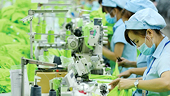 Chính phủ ban hành Nghị định số 86/2025/NĐ-CP ngày 11 tháng 4 năm 2025 quy định chi tiết một số điều của Luật Quản lý ngoại thương về các biện pháp PVTM