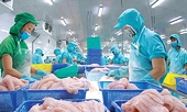 Xuất khẩu thủy sản “giảm tốc” trong tháng 5 do tác động từ chính sách thuế của Hoa Kỳ