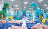 Xuất khẩu thủy sản “giảm tốc” trong tháng 5 do tác động từ chính sách thuế của Hoa Kỳ