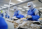 Mức thuế chống bán phá giá tôm Việt Nam vào Mỹ tăng đột biến, doanh nghiệp kêu oan
