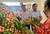 Vải thiều được mùa, rộng đường xuất khẩu