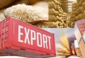Việt Nam có thêm cơ hội xuất khẩu gạo sang Nhật