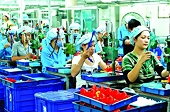 Kinh tế Việt Nam thể hiện sức bền trong “cơn bão thuế quan”