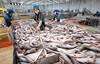 Hoa Kỳ ban hành Kết luận cuối cùng trong cuộc rà soát hành chính thuế CBPG lần thứ 20 đối với cá tra - basa phi lê đông lạnh Việt Nam xuất khẩu sang Hoa Kỳ