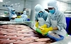 Giải pháp để xuất khẩu cá tra bền vững vào Hoa Kỳ
