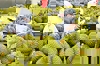 Khắc phục sụt giảm xuất khẩu rau quả: Yếu tố sống còn là chất lượng