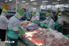 Việt Nam-Brazil: Nhiều dư địa hợp tác kinh tế thương mại
