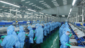 Tăng trưởng xuất khẩu thủy sản chậm lại, đối mặt nhiều rủi ro từ chính sách thuế của Hoa Kỳ