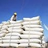 Việt Nam xuất khẩu gần 5 triệu tấn gạo