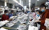Xuất khẩu toàn ngành da giày đạt trên 14 tỷ USD