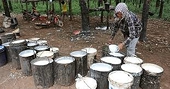 Nửa năm, Việt Nam chi 1,4 tỷ USD nhập khẩu 'vàng trắng', trong đó có 309 nghìn tấn từ Campuchia