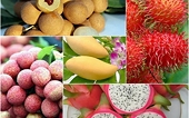 Đã giải quyết hồ sơ xuất khẩu trái cây, rau củ sang châu Âu