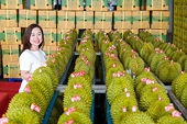 Kích cầu xuất khẩu, sầu riêng Việt Nam sắp có tiêu chuẩn riêng