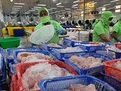 Doanh nghiệp thủy sản than khó vì quy định về thuế