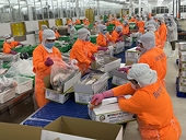 Từ chuyện Việt Nam nhập 'khủng' hạt dẻ cười, hạnh nhân từ Mỹ, bàn giải pháp thuế xuất khẩu