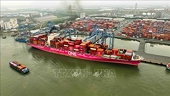 Thuế đối ứng Hoa Kỳ 20%: Cơ hội và thách thức cho doanh nghiệp Việt đa dạng hóa thị trường xuất khẩu