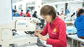 EVFTA đòn bẩy trị giá hàng trăm tỷ đô cho doanh nghiệp Việt hội nhập