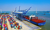 Doanh nghiệp Việt xoay trục tìm thị trường mới, ứng phó với rủi ro thuế quan