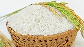 Lúa gạo: Việt Nam giữ giá cao, Philippines đối mặt thách thức nhập khẩu