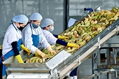 Đẩy mạnh xuất khẩu nông sản sang EU