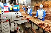Ngành gỗ, dệt may Việt Nam thích ứng biến động thuế Mỹ