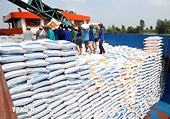 Gạo Việt Nam trước cơ hội từ thị trường Philippines