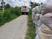 Xuất khẩu gạo ổn định dù Philippines, Indonesia tạm ngừng nhập