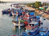 Cao điểm gỡ thẻ vàng thủy sản