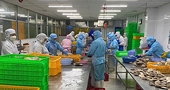 Xuất khẩu Việt "vượt sóng' giữa thách thức toàn cầu: Thách thức nhỏ, cơ hội lớn khi EU siết chuẩn Asen